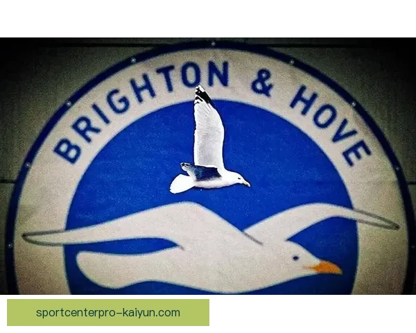 英超德泽尔比海鸥状态回暖，表现逐渐恢复竞争力